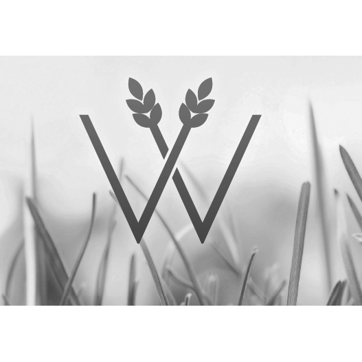 Whitehouse Community Council